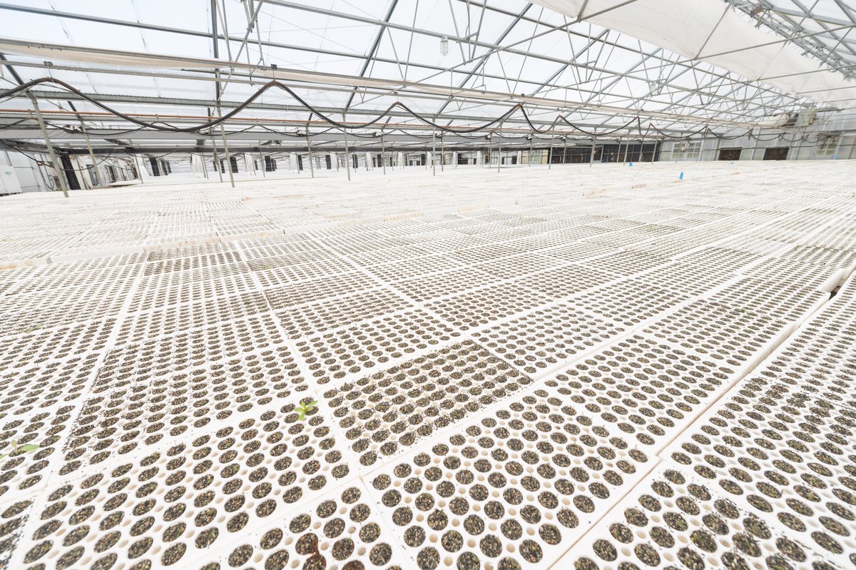 Western Forest Products tweet media