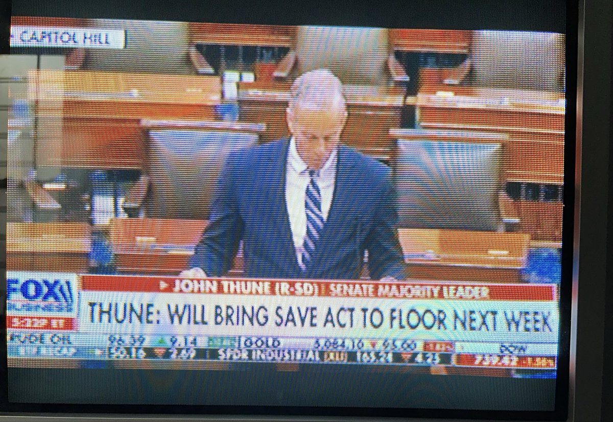 VirgosWindsong tweet media