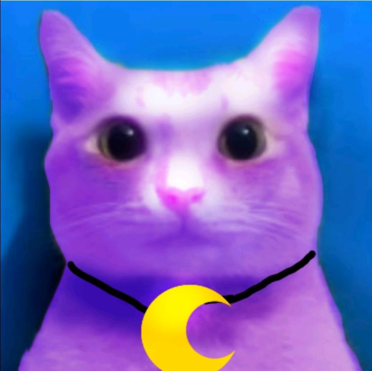 Leo GOAT tweet media