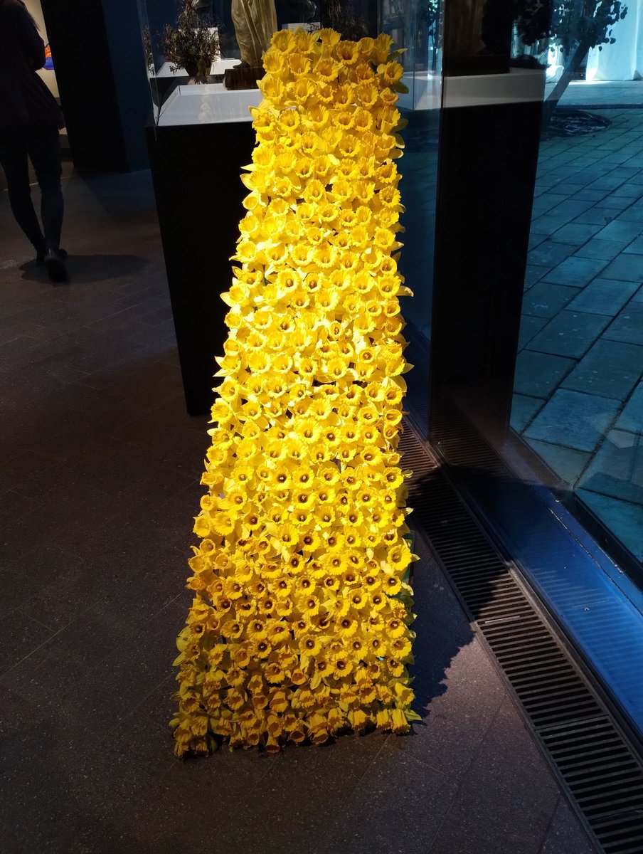 wduevolte's tweet photo. @Expedia A lovely daffodil flower arrangement from Bouquet to Arts at the De Young Museum. https://t.co/hZlruIwgTU