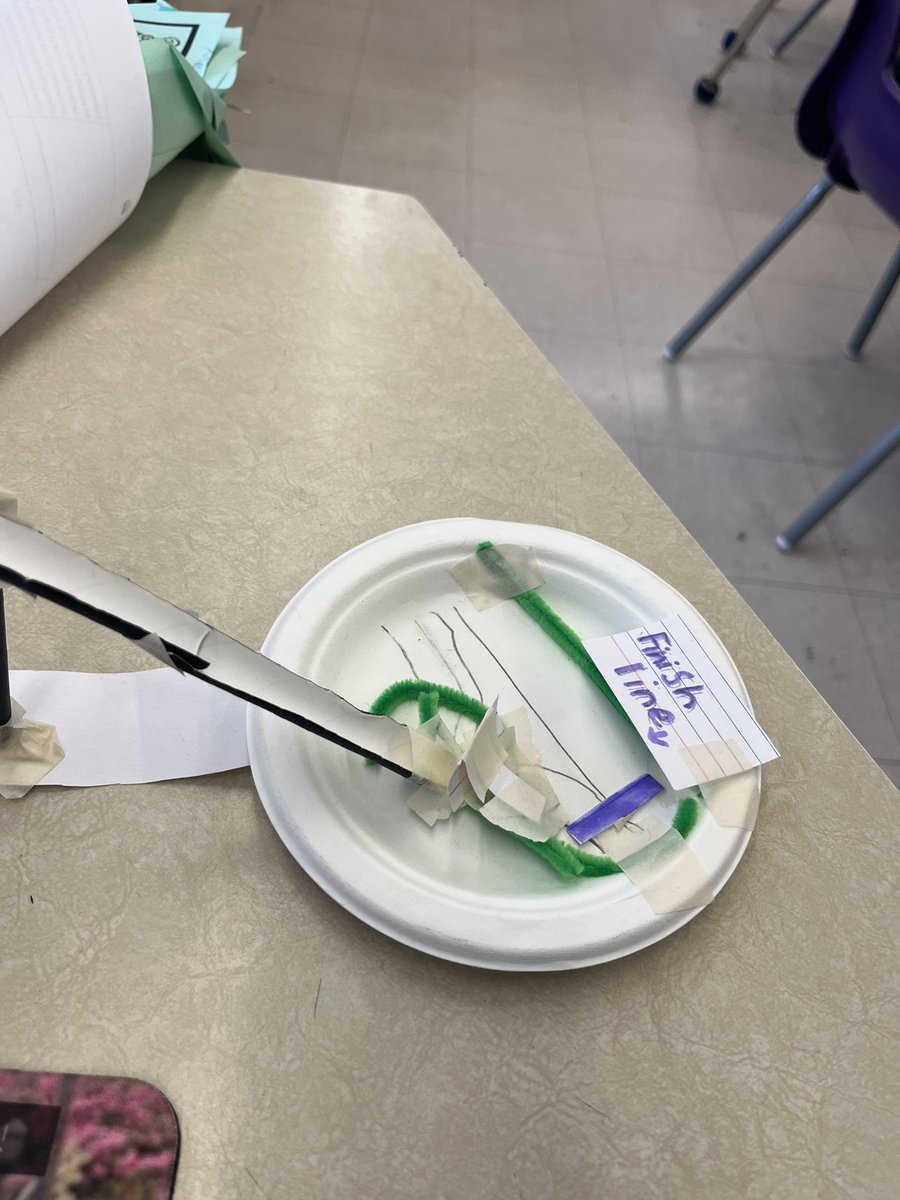 Tanya Balthazaar tweet media