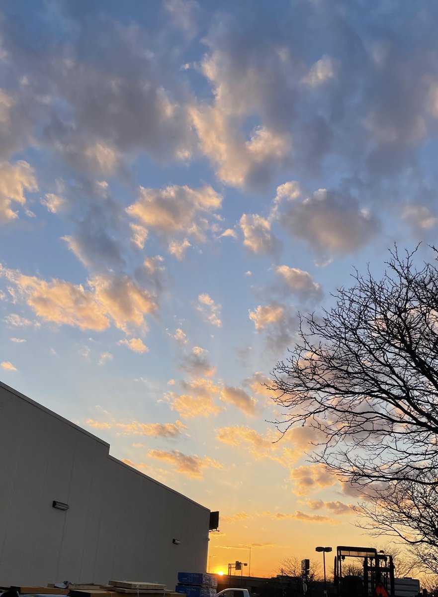 رامي tweet media