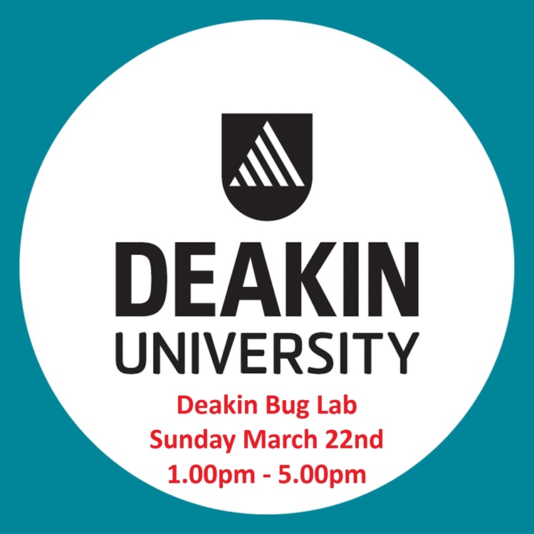 Entomological Society of Victoria 🐛🐜🦟🐞🕷️🦗 tweet media