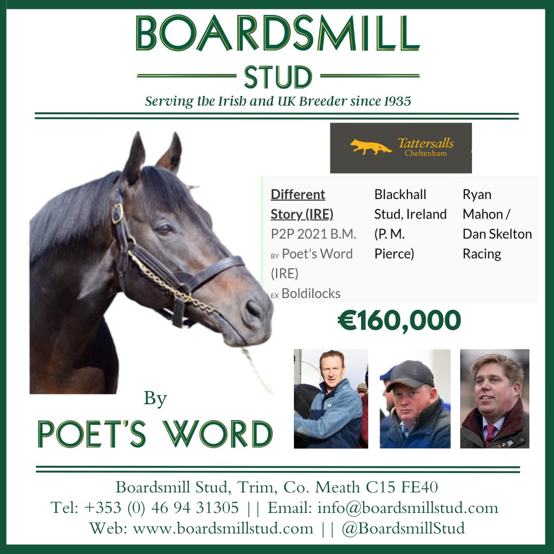 Boardsmill Stud tweet media