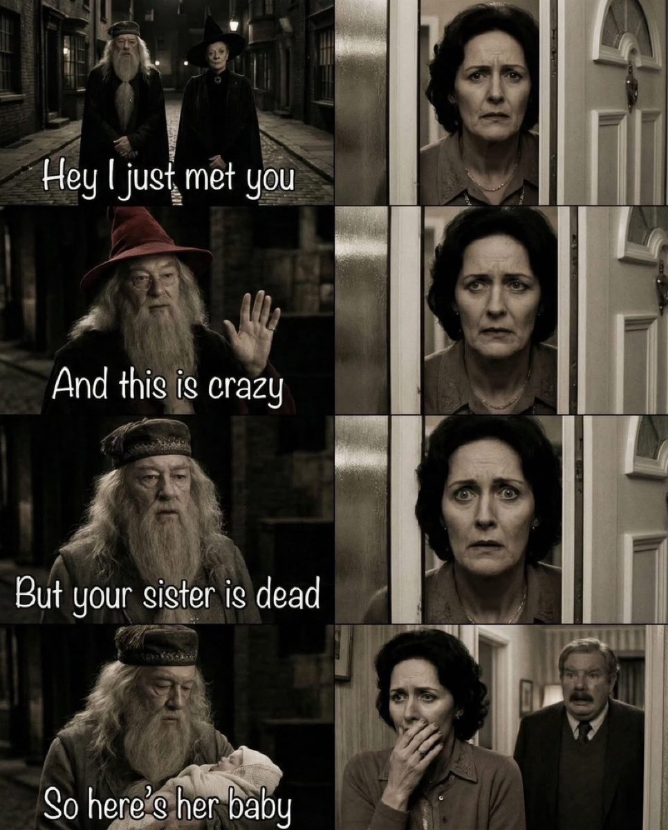 TheDailyHPotter's tweet photo. A crazy introduction ☠️ https://t.co/Z9ISKfizhe