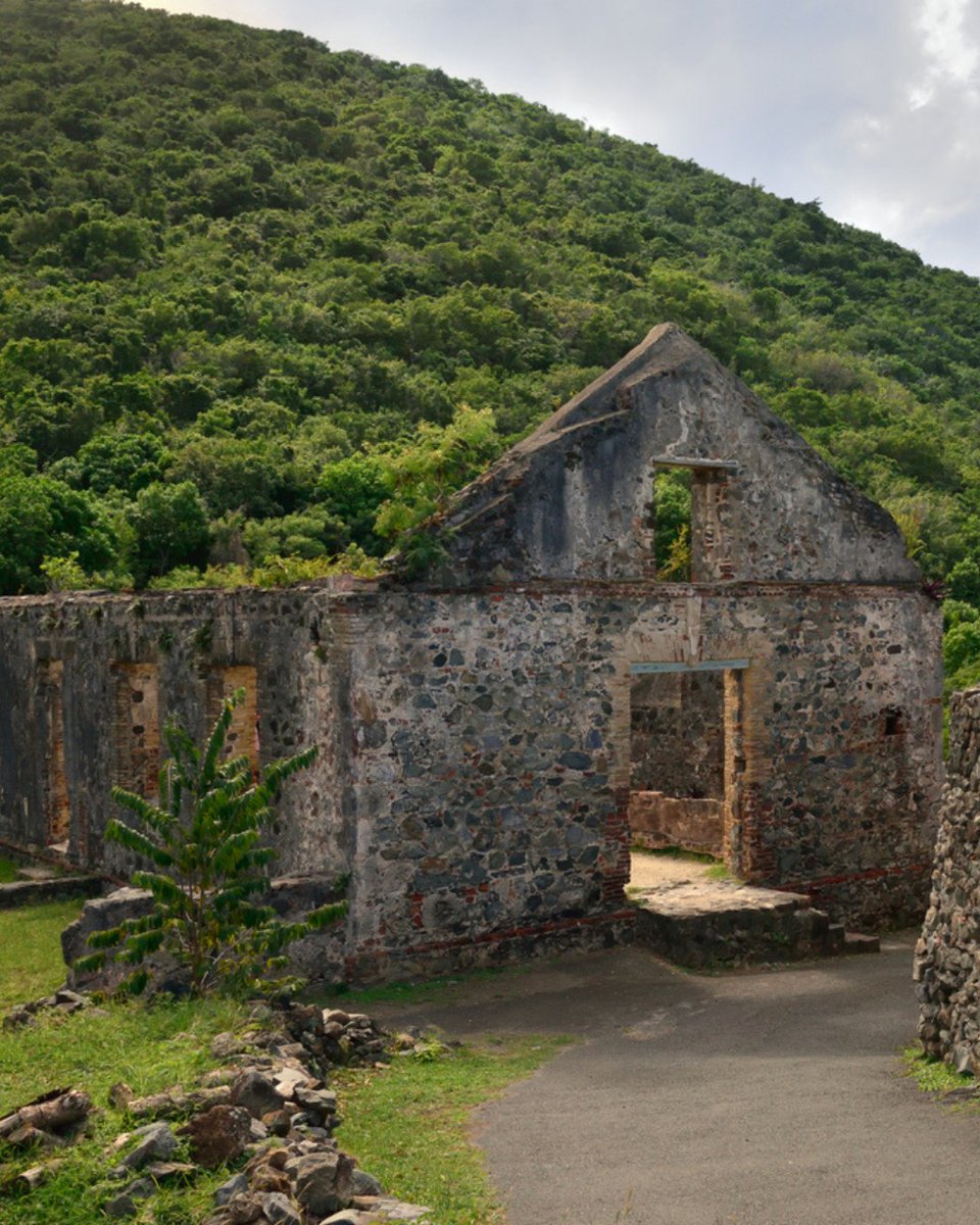Visit USVI – U.S. Virgin Islands Dept. of Tourism tweet media