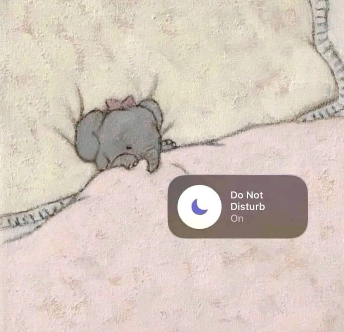 only cute things (@cutedreamvibes) on Twitter photo 