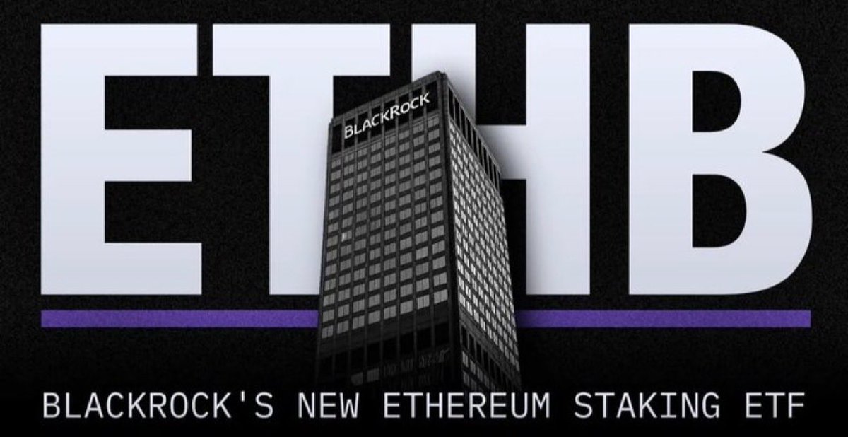 Cryptamazigh tweet media