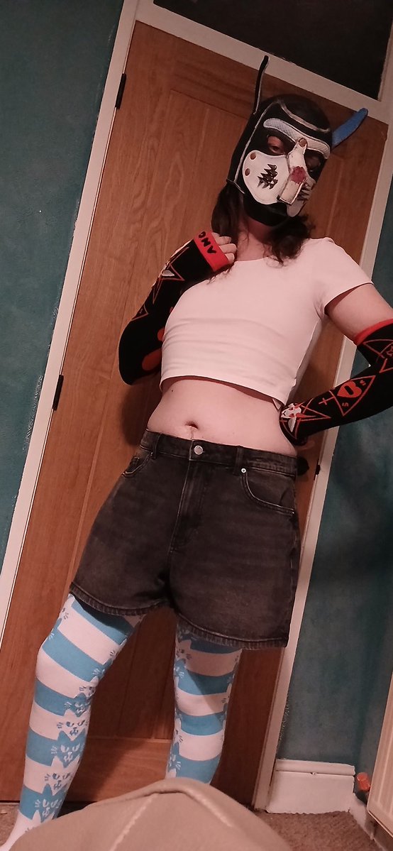 Malachai the Merle 🔜 JAnimalz 🔜 Scotiacon tweet media