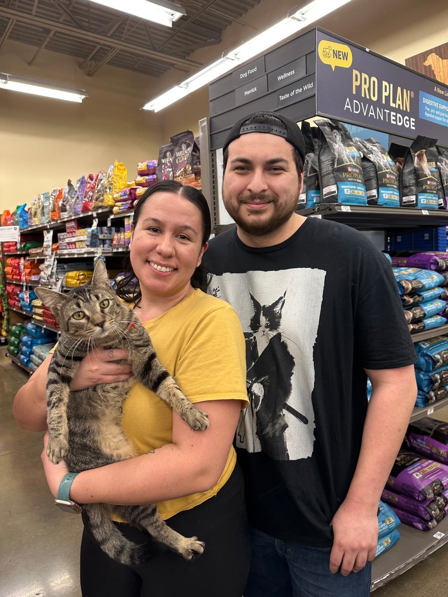 Cat Matchers tweet media