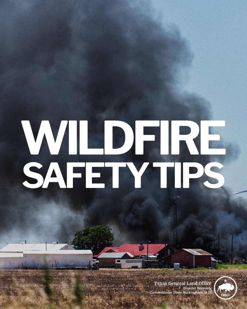 Texas General Land Office tweet media