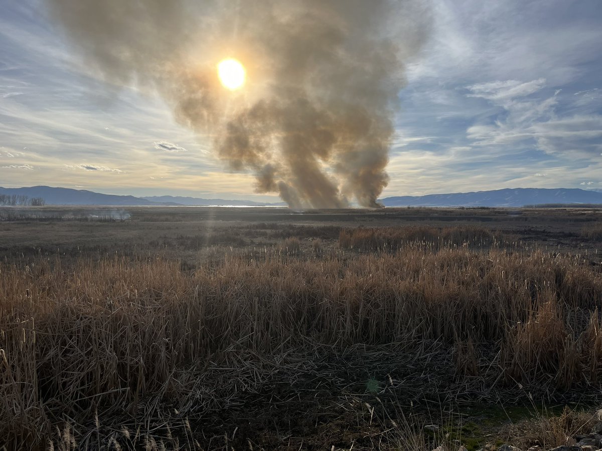 Utah Fire Info tweet media