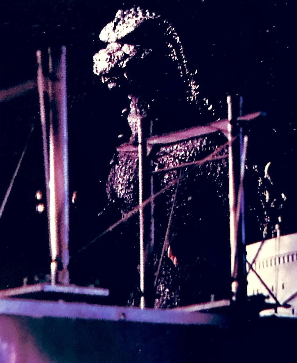 Godzilla Perfect Shots tweet media