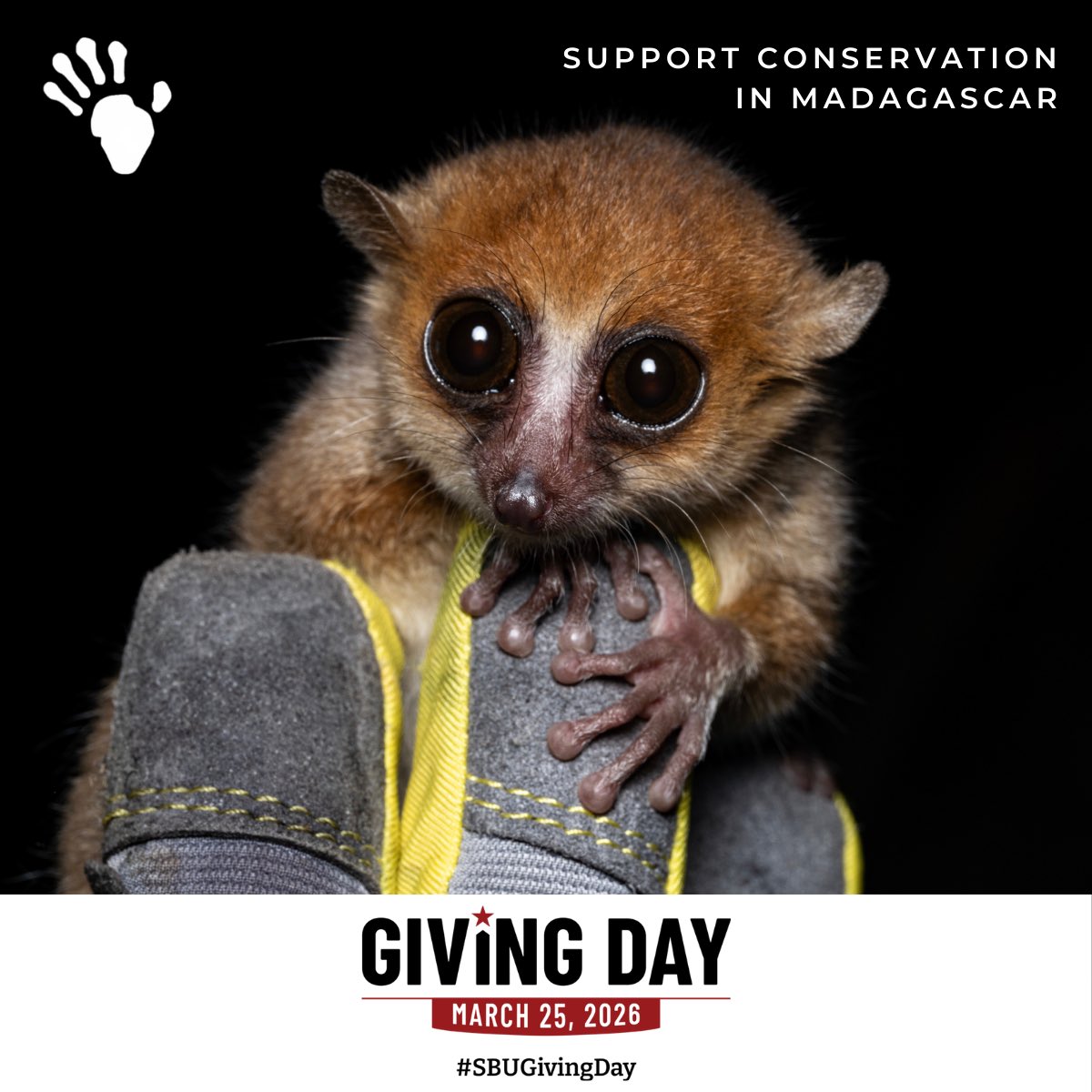 Centre ValBio tweet media