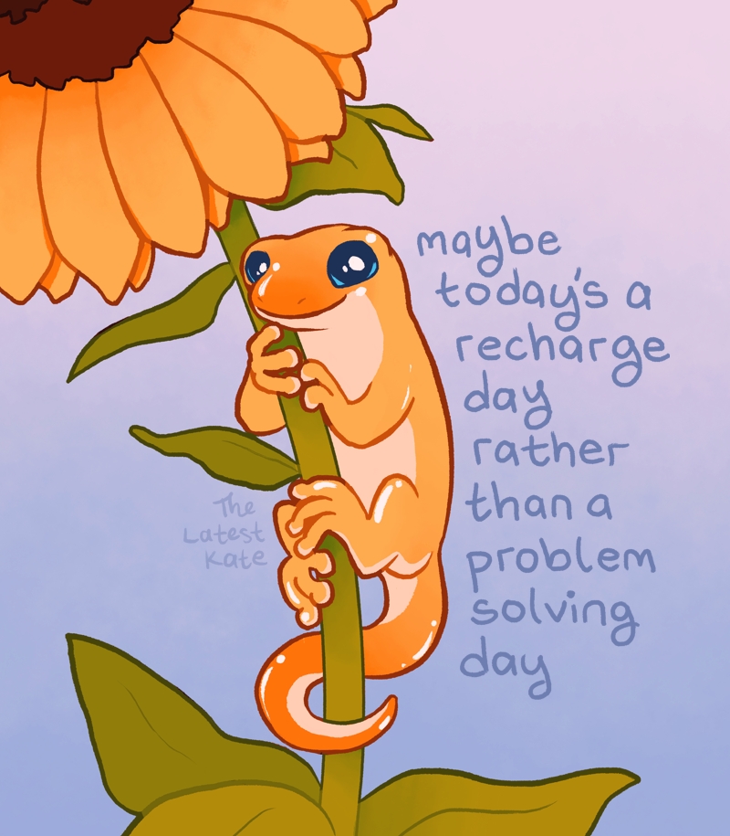 TheLatestKate tweet media