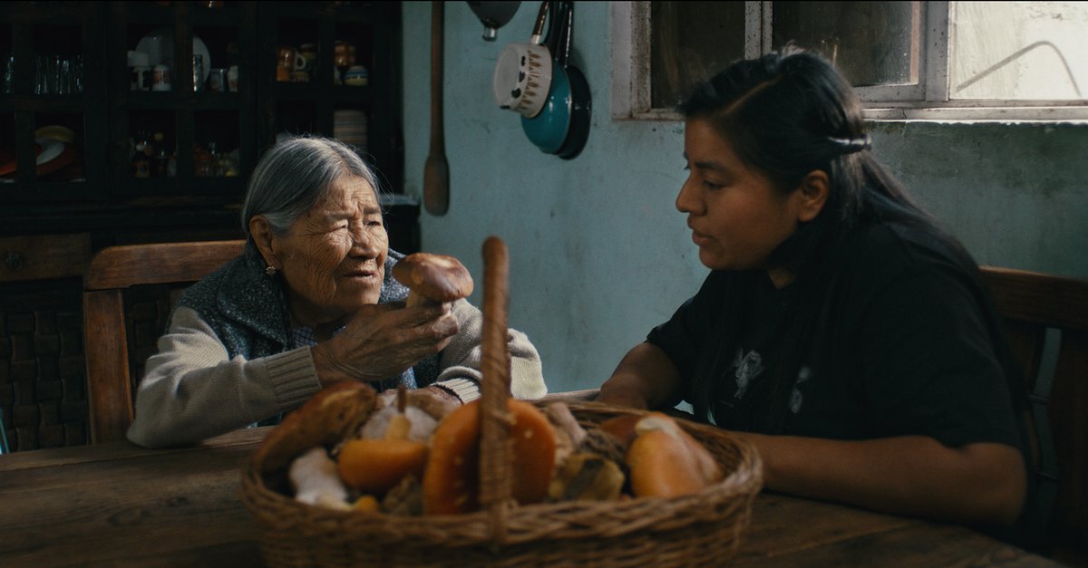 Cinema Tropical tweet media