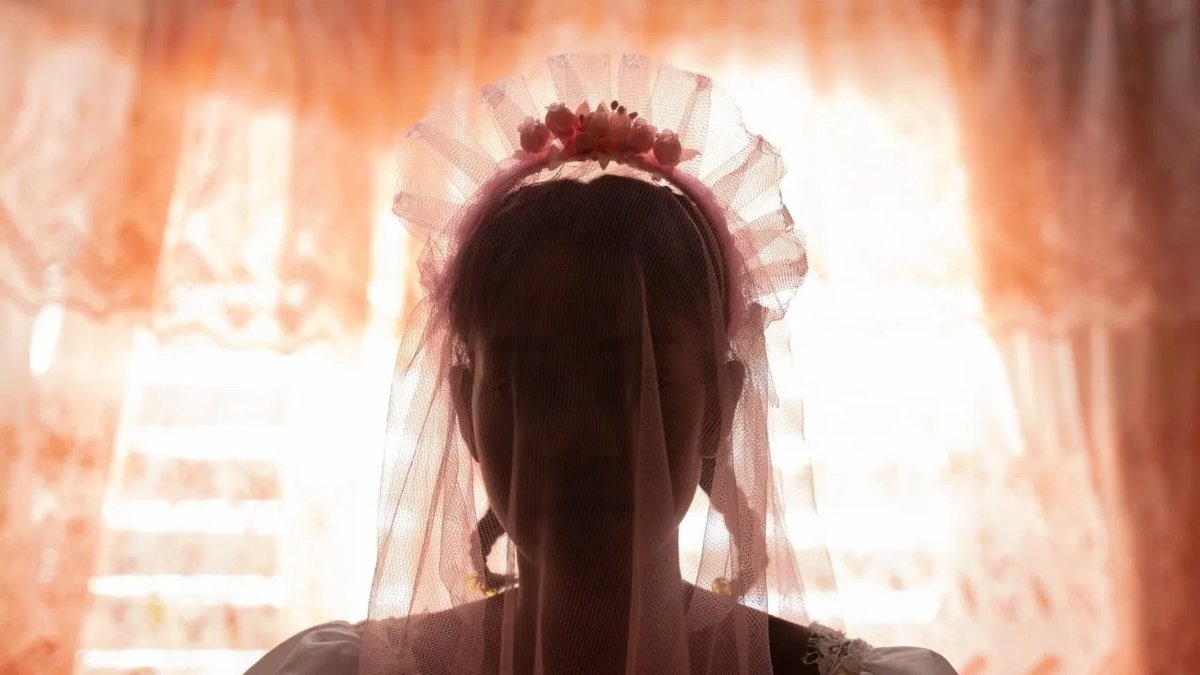 Cinema Tropical tweet media