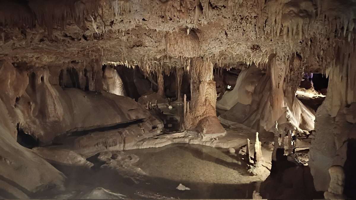 RayWombat tweet media