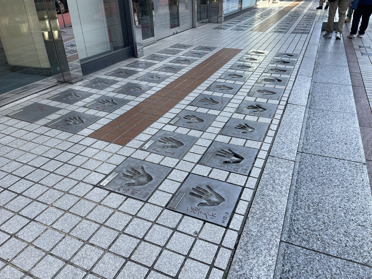 みぃちゃん tweet media