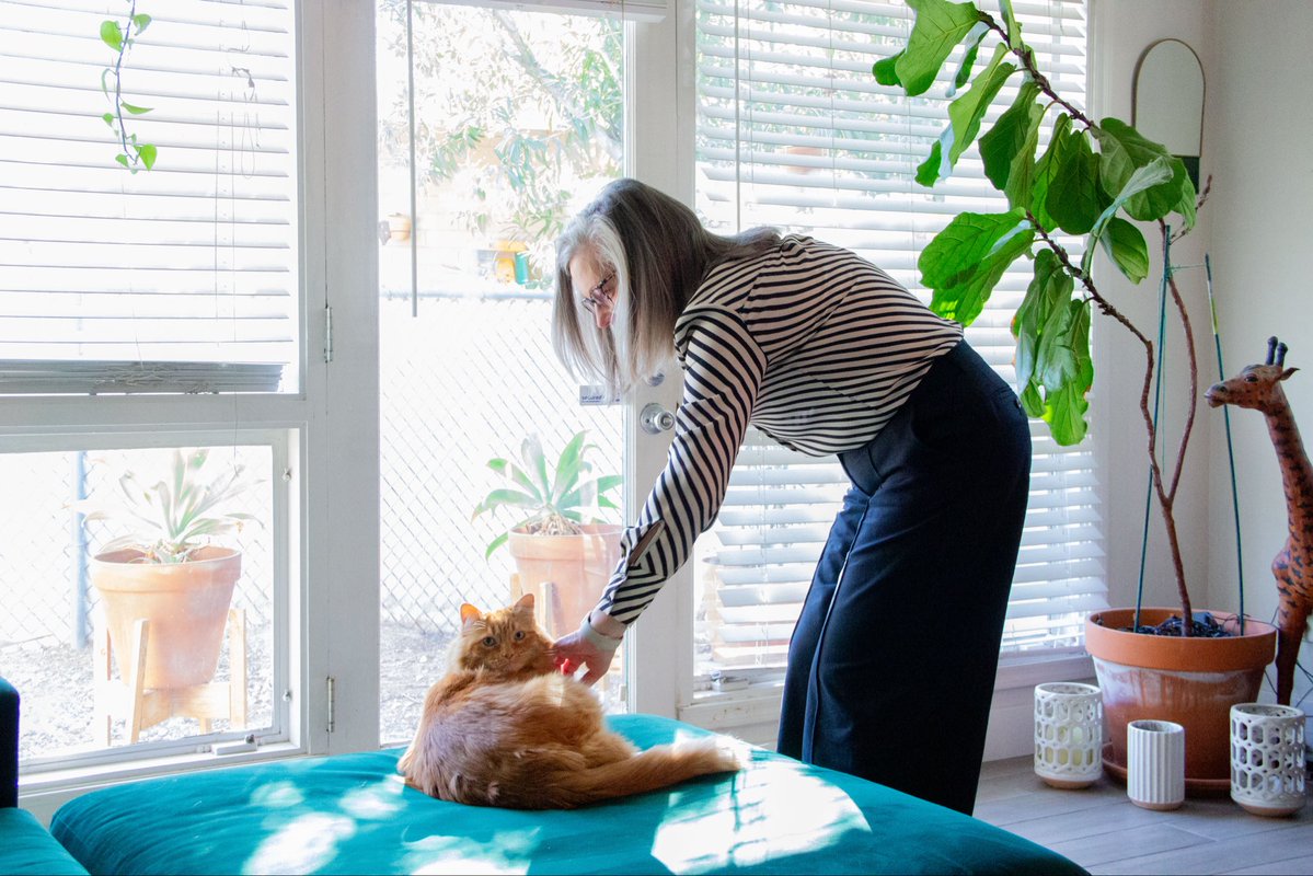 Governor Katie Hobbs tweet media