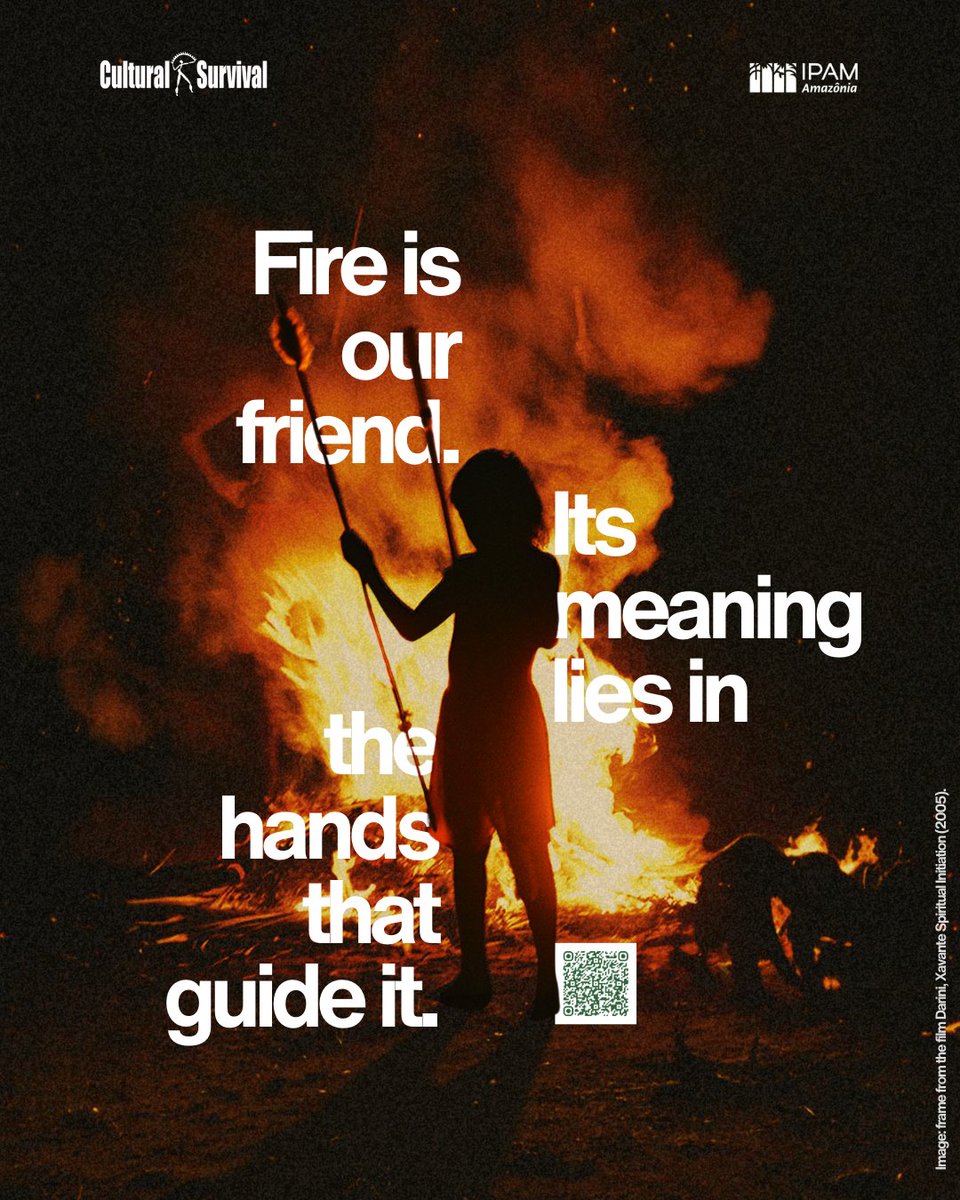 Cultural Survival tweet media