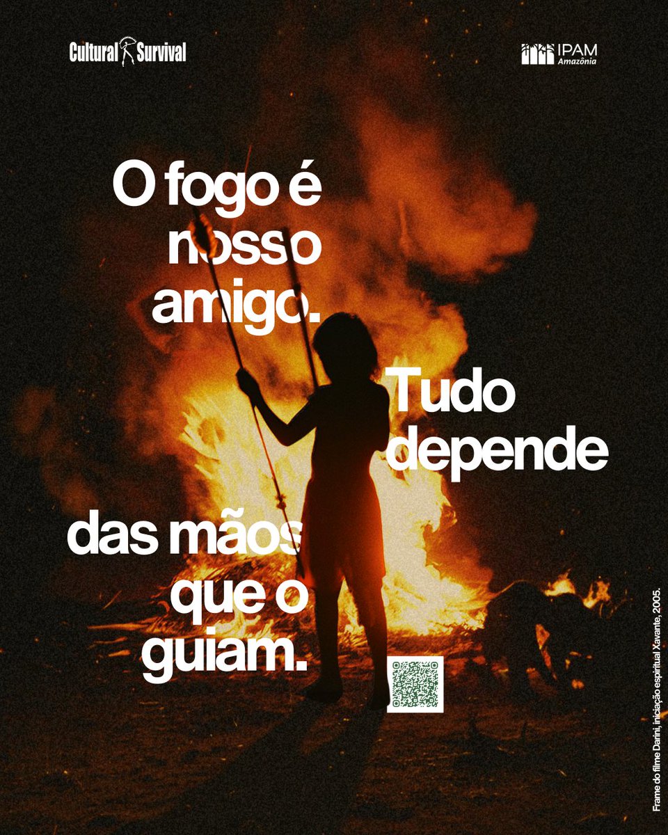 Cultural Survival tweet media