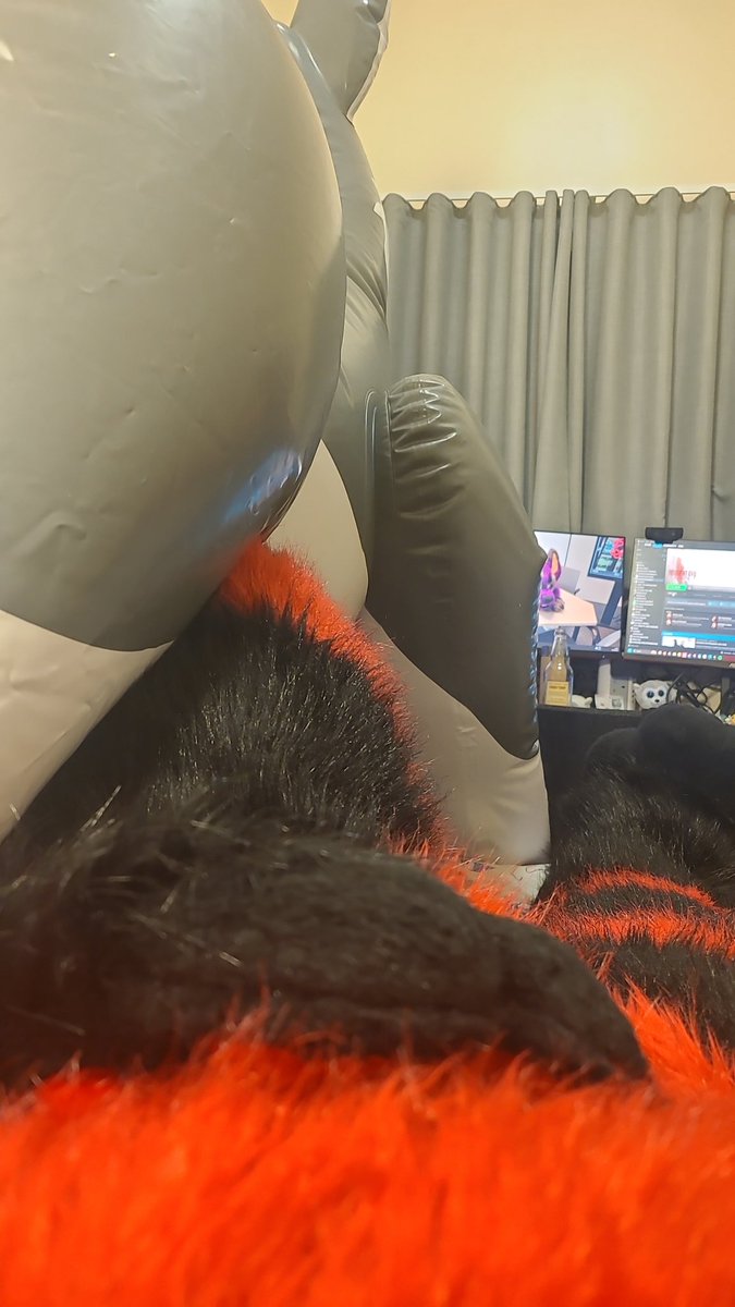 Rinz / Prisma 🔜 Confuzzled 2026 tweet media