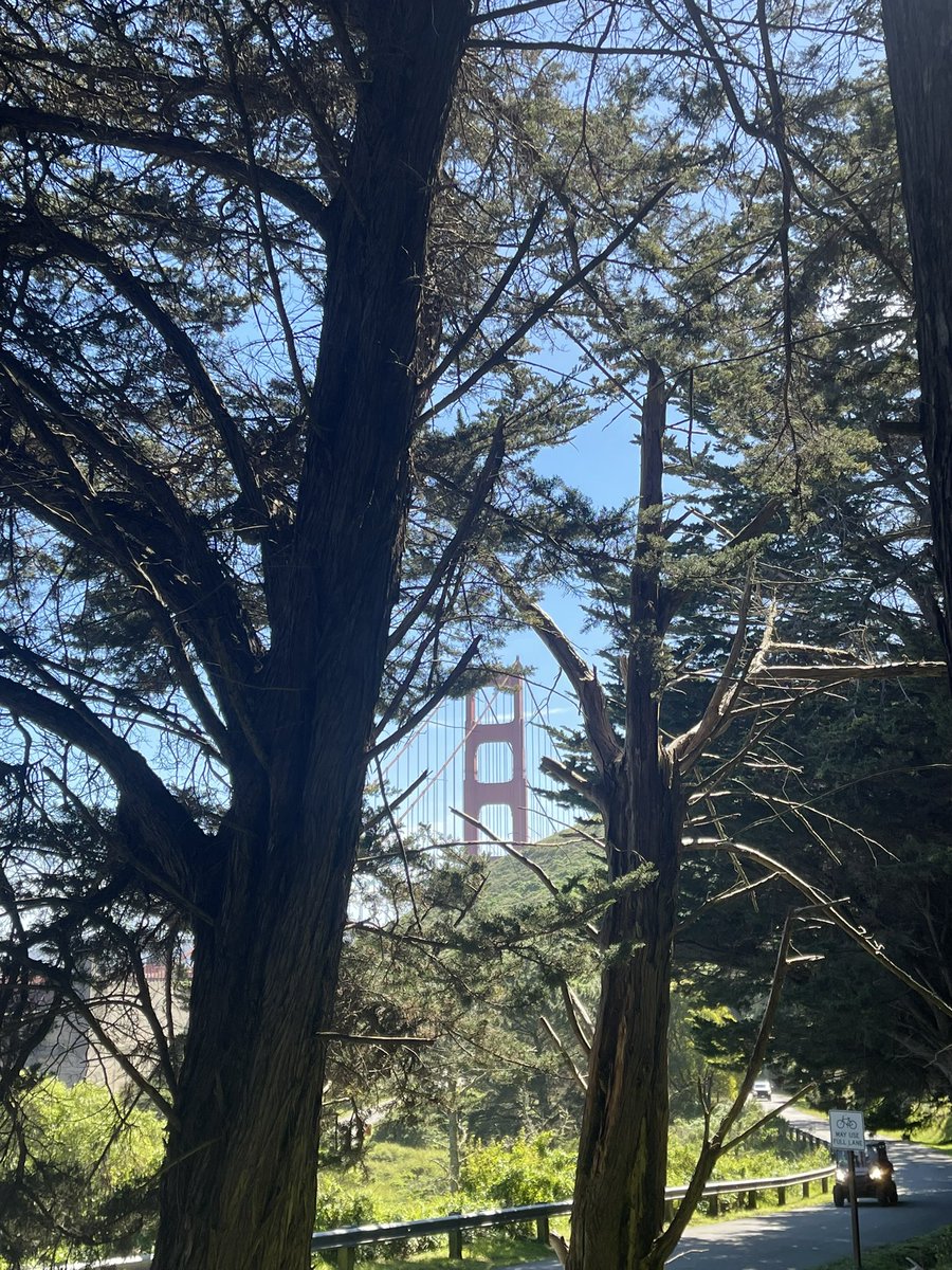 Stuart Bladon tweet media