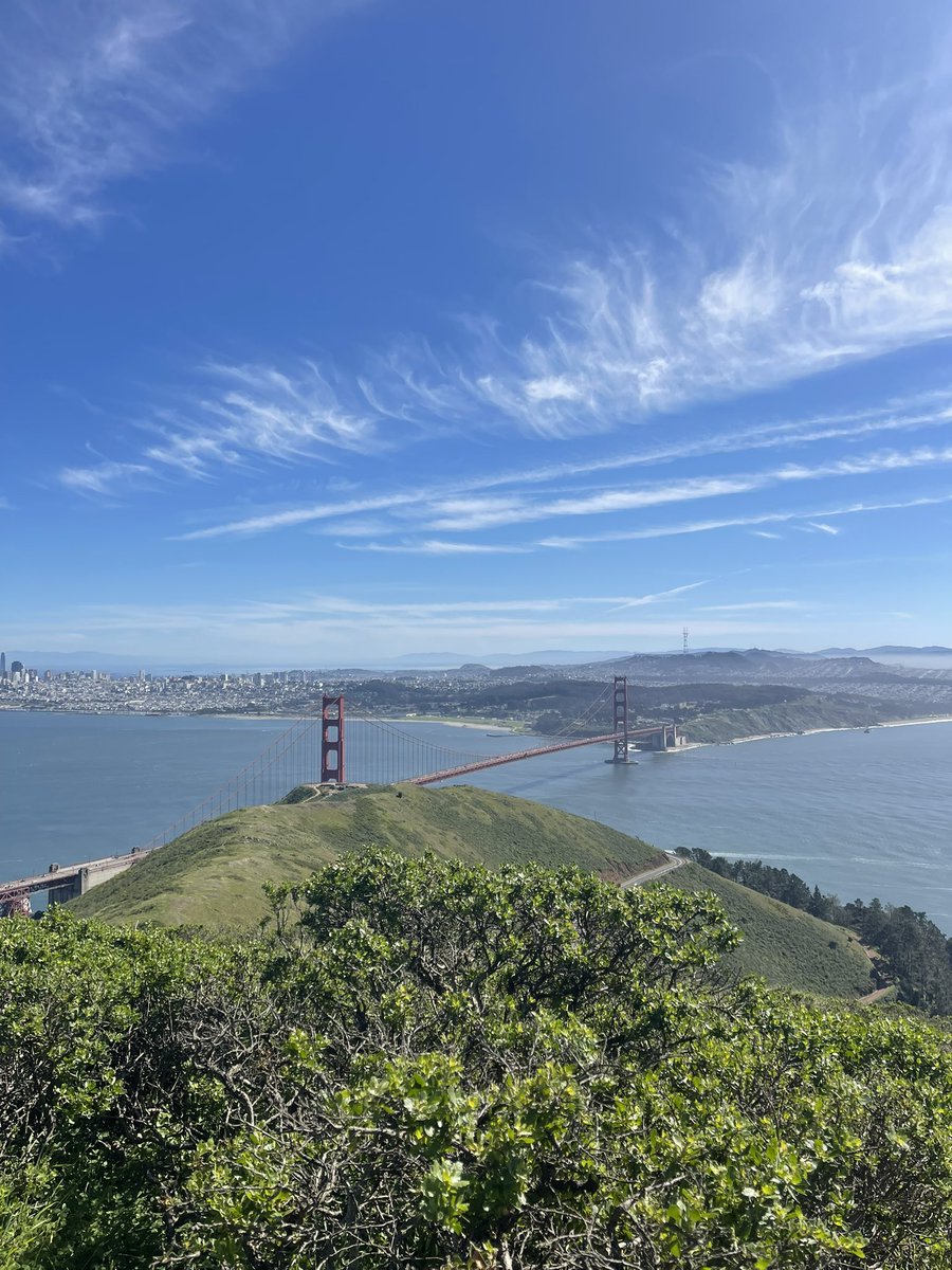 Stuart Bladon tweet media