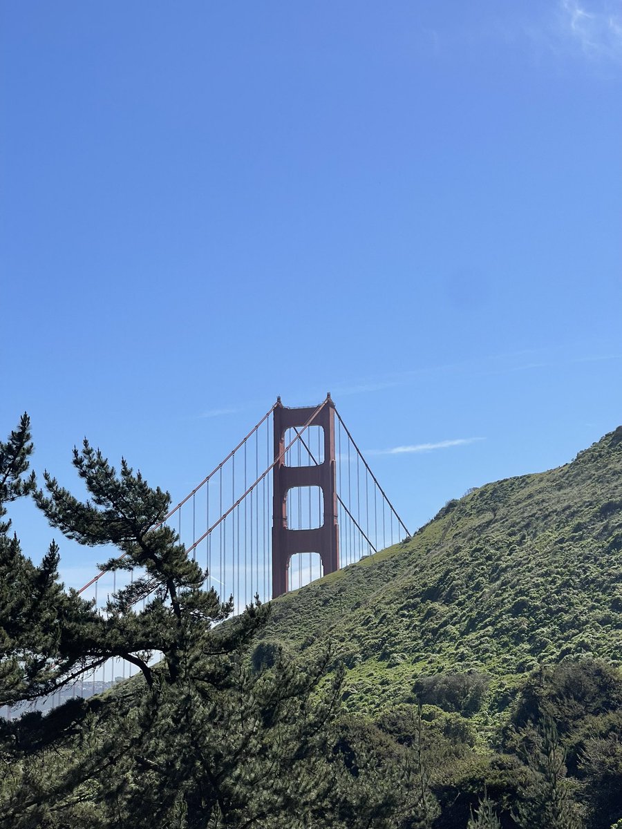 Stuart Bladon tweet media