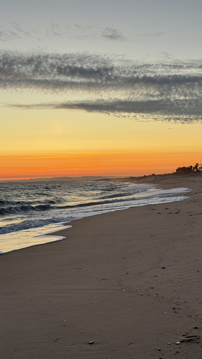 Lucy (✱,✱) tweet media