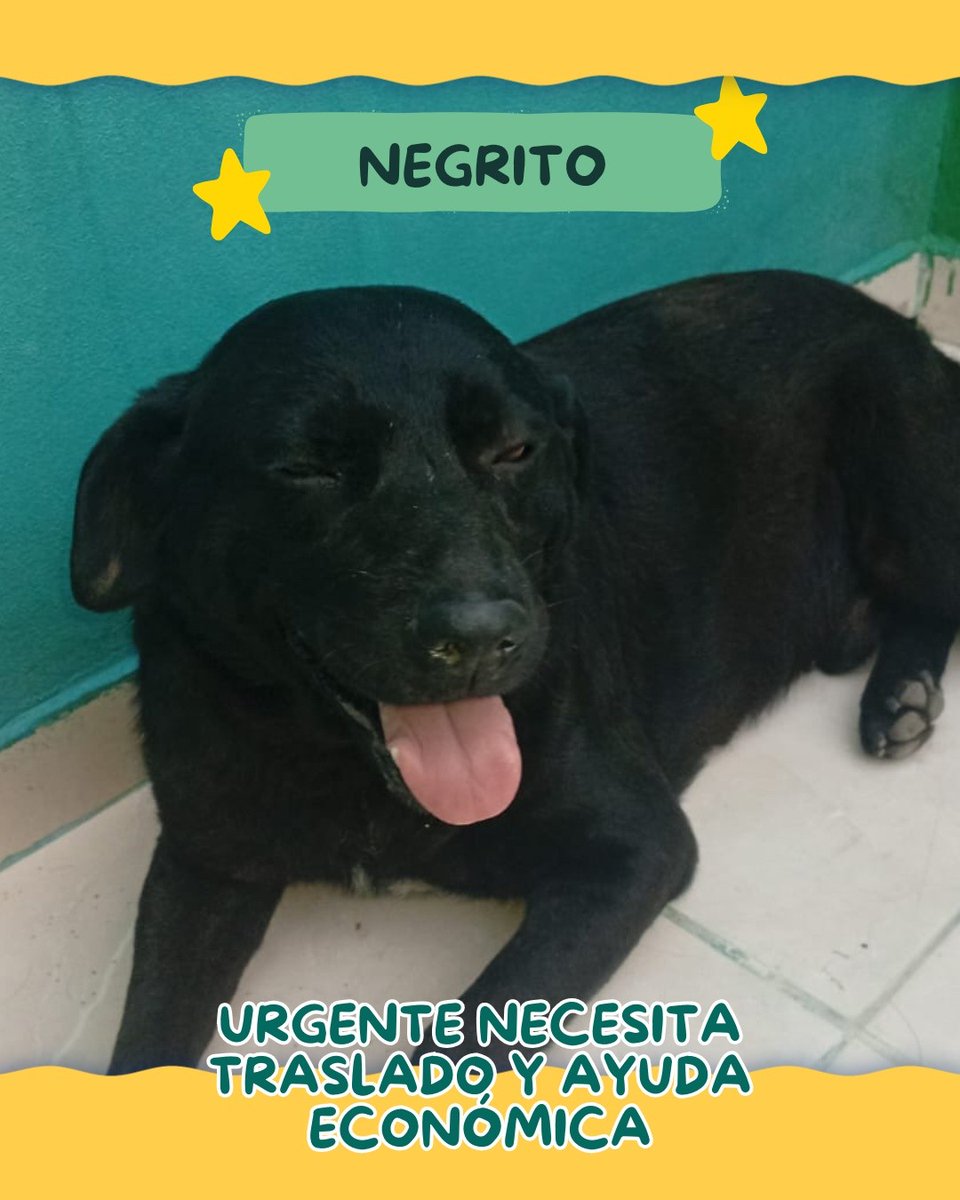 DiscasRodandoxLaVida tweet media