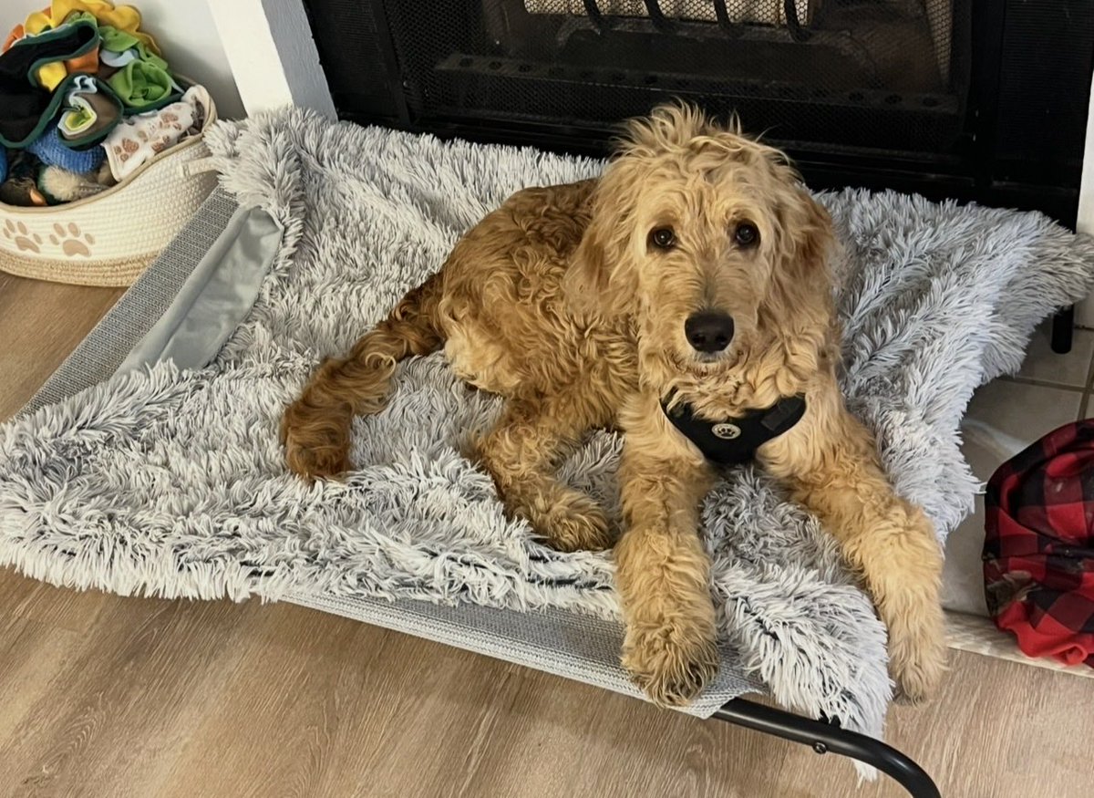 Queen Satoshee tweet media