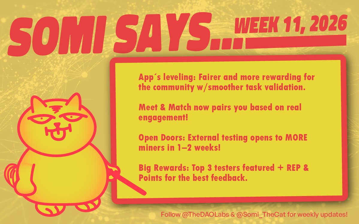 Somi The Cat 🧐 tweet media