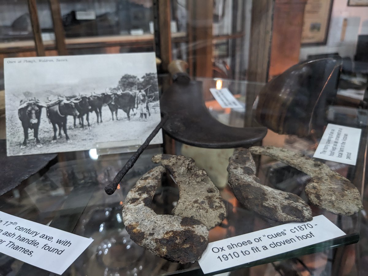 Henfield Museum tweet media