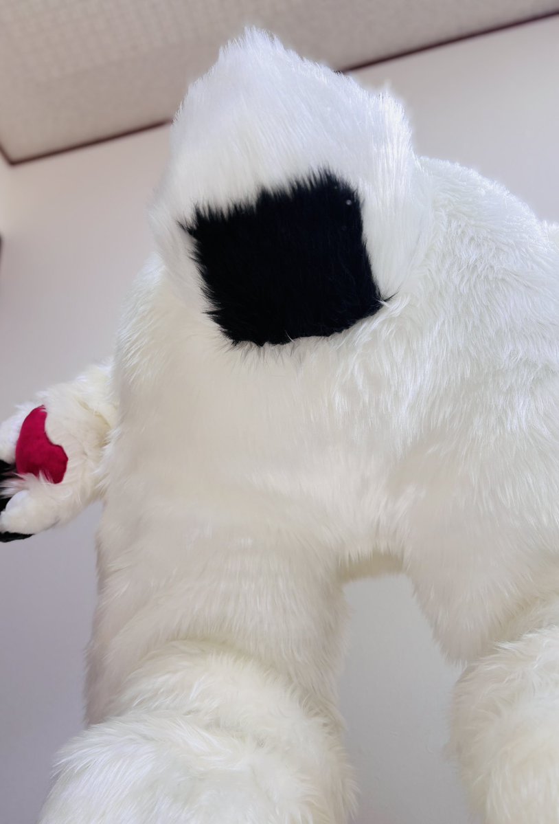 虎衣軒 Try＝Ken 【依頼受付中】 tweet media