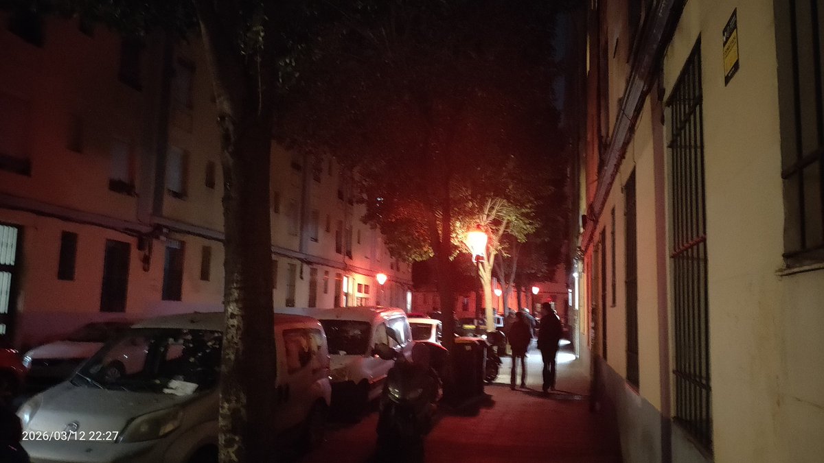 Cactus Monkey tweet media