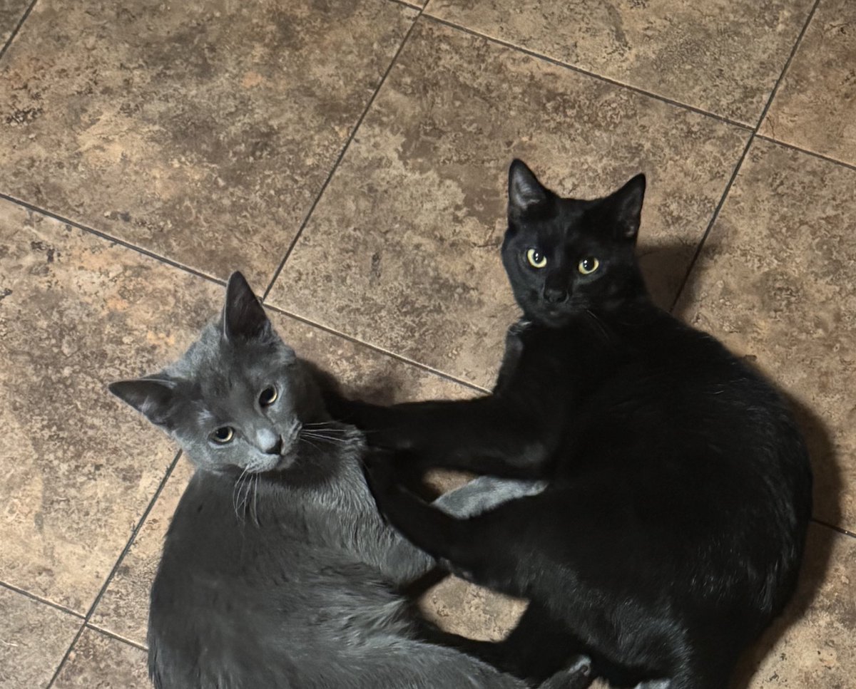 everyone so mean tweet media