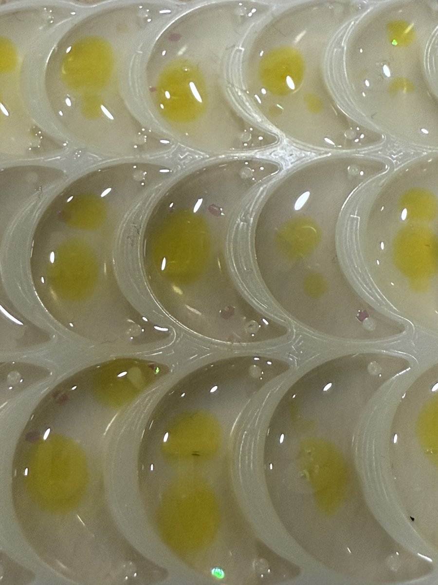 🌙🌙🌙 Último chupito del día y me voy a contar lunas a la cama.