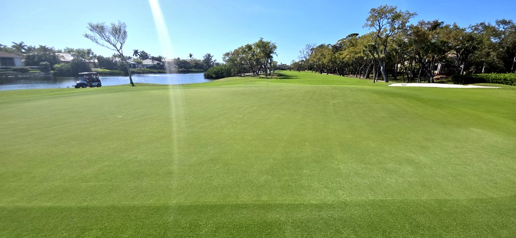 john reilly tweet media