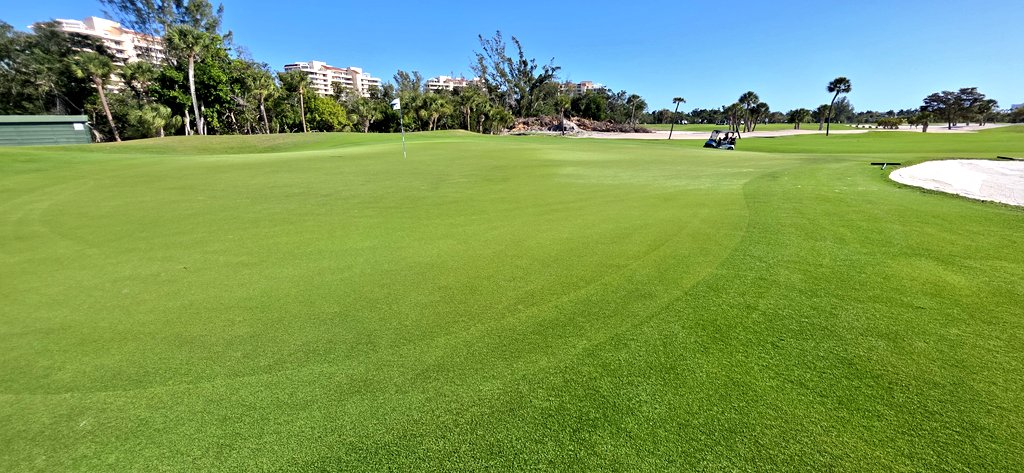 john reilly tweet media