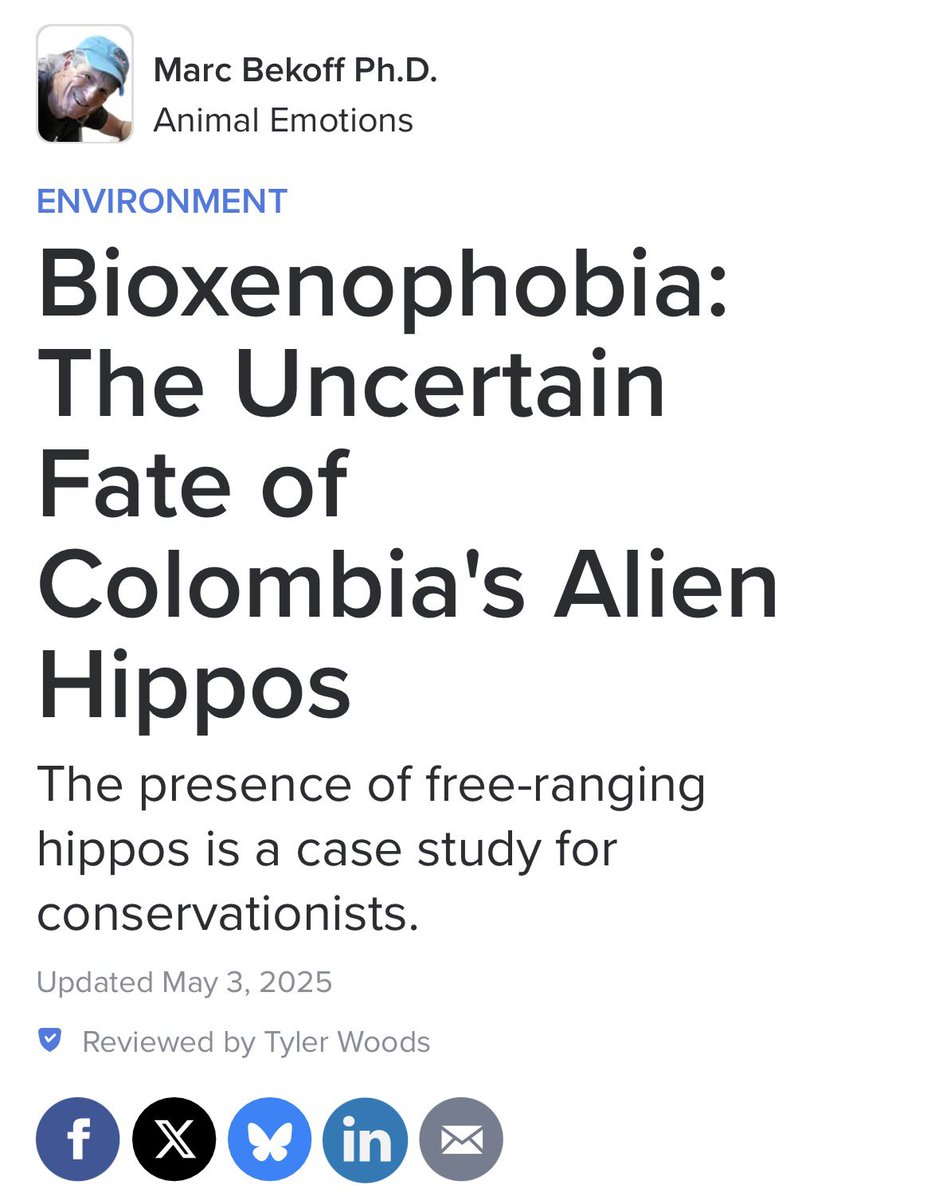 Jafet Quintero Ⓥ tweet media