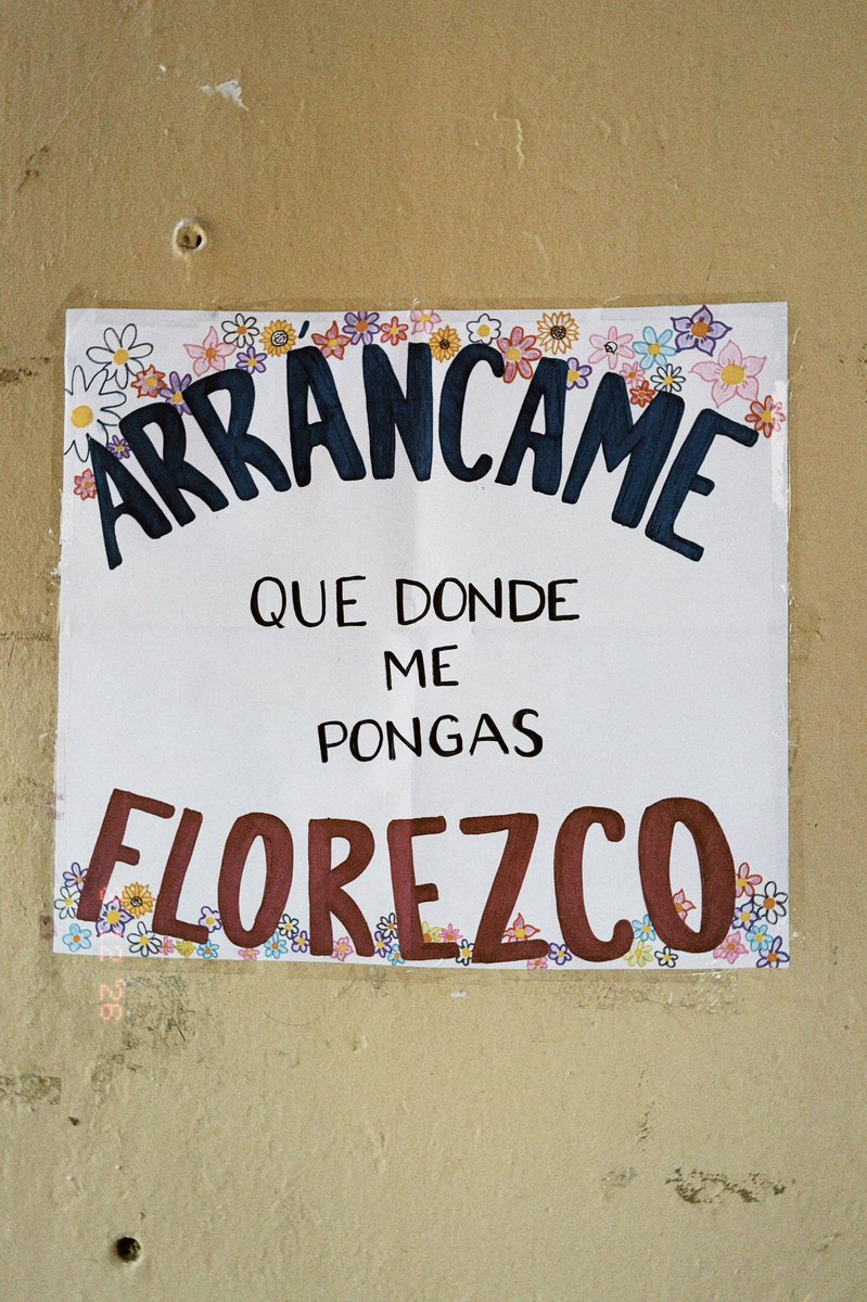 itzeeeelx's tweet photo. Me gusta ir caminando y encontrarte con un cartel que no sabías que necesitabas leer, como este 🌷 https://t.co/lGkiFMRJwP