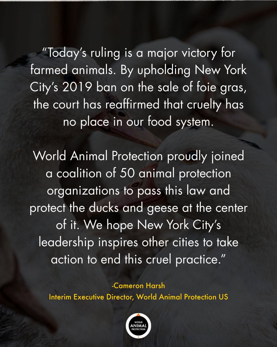 World Animal Protection US tweet media