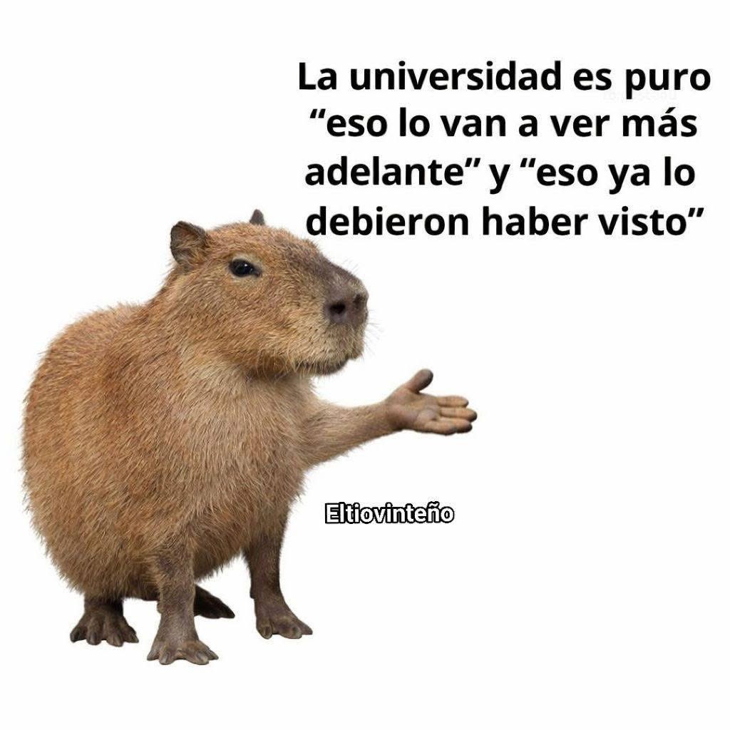 memes feos yo qué sé tweet media