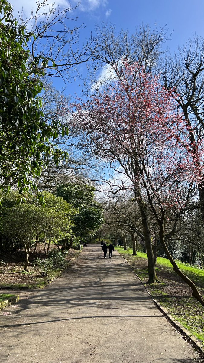 The Edge Academy tweet media