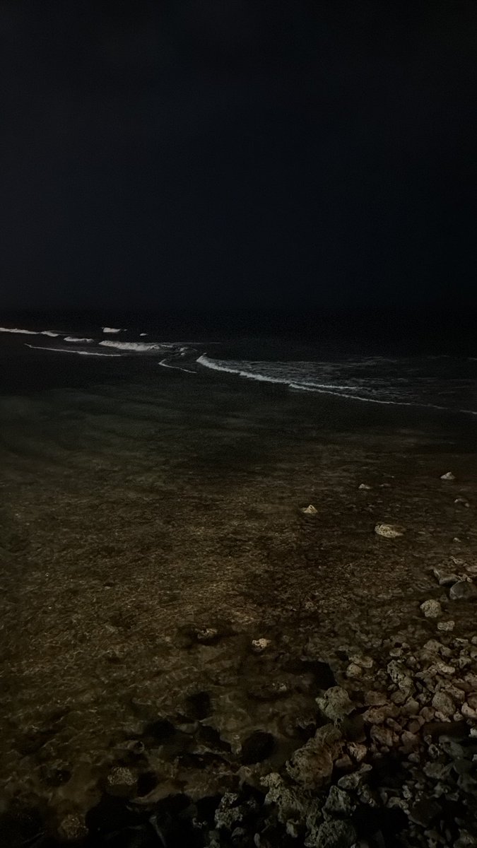 خَالد tweet media