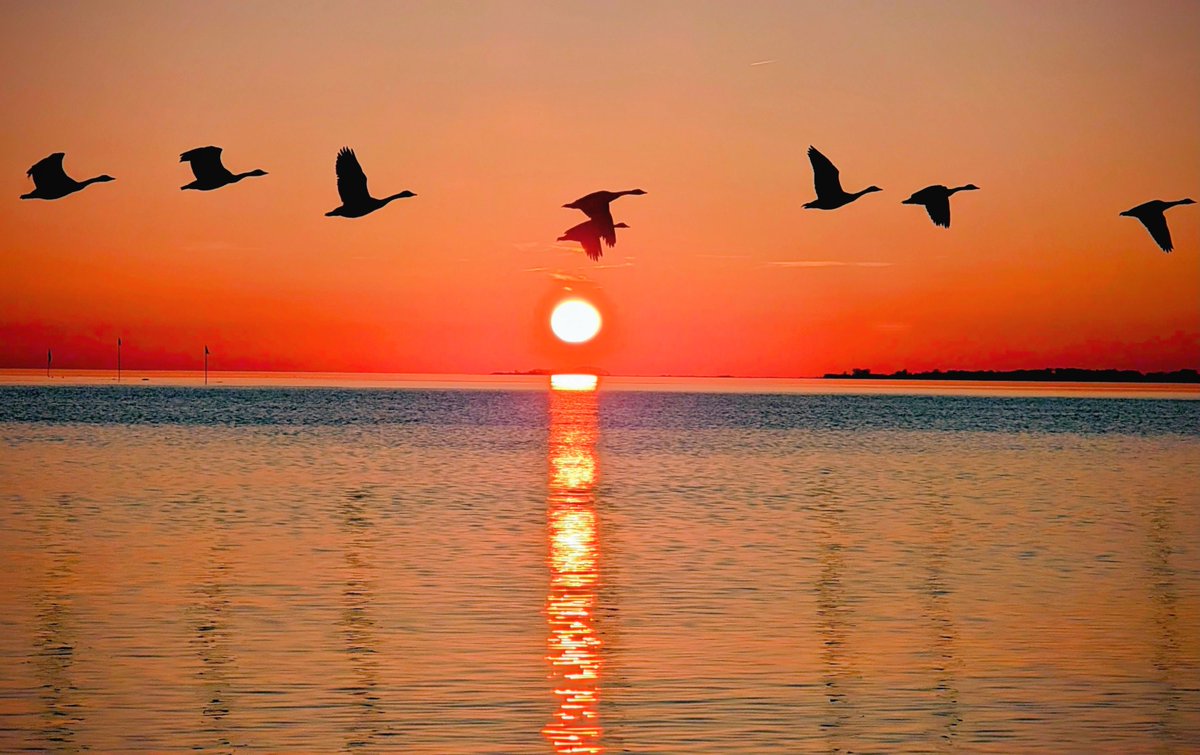 KAARTIFACTS tweet media