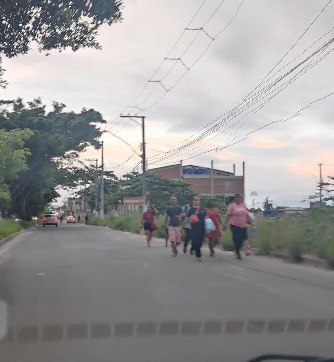 Ariel Leão Gracelli tweet media