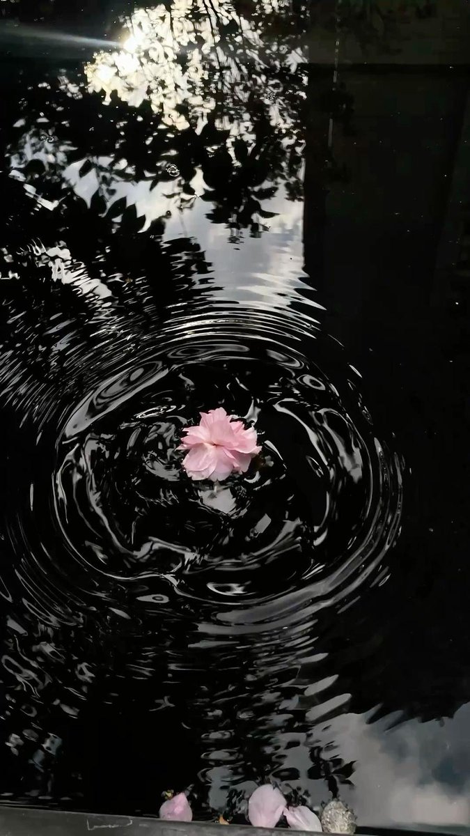 Black. (@blackdreamvibes) on Twitter photo 